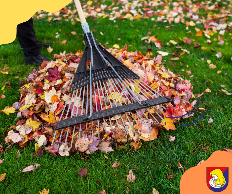 Jesenné upratovanie 2023 v meste Sabinov