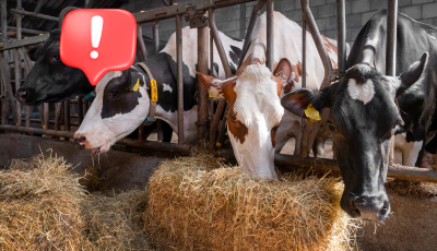 Mimoriadne núdzové opatrenia od hlavného veterinárneho lekára SR