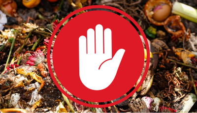 Nebezpečné vytváranie krmovísk