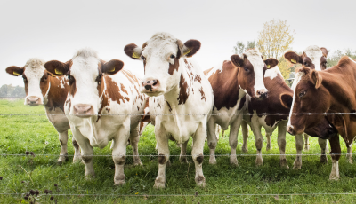 Mimoriadne núdzové opatrenia platné od 28.4.2025