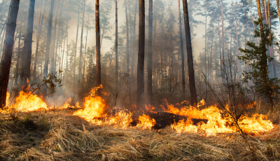 Vyhlásenie času zvýšeného nebezpečenstva vzniku požiaru