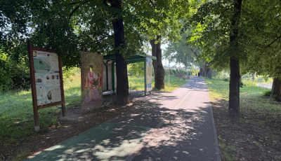 Bezpečnostný rez drevín v lokalite "Kocur park"