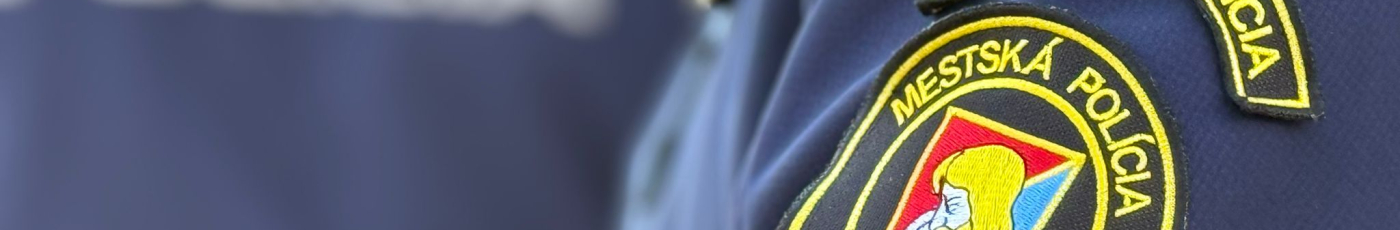 Mestská polícia 