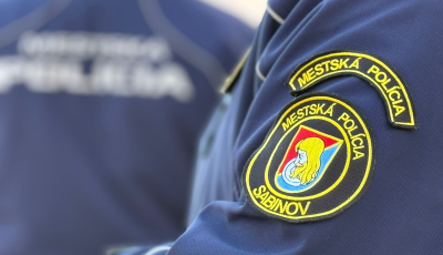 Mestská polícia 